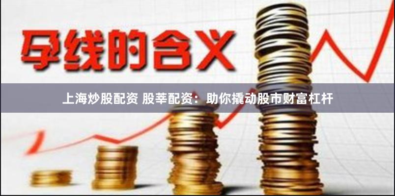 上海炒股配资 股莘配资：助你撬动股市财富杠杆