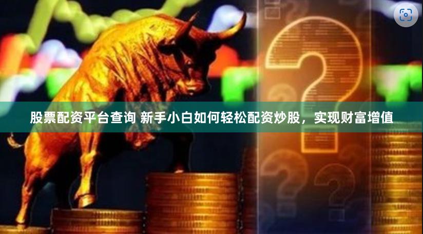 股票配资平台查询 新手小白如何轻松配资炒股，实现财富增值