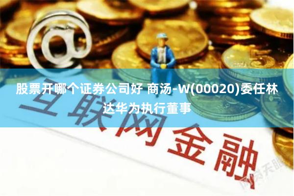 股票开哪个证券公司好 商汤-W(00020)委任林达华为执行董事