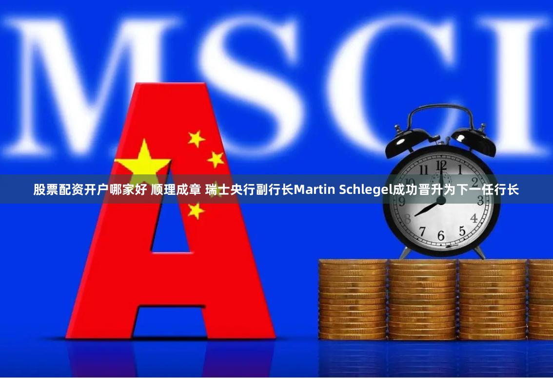 股票配资开户哪家好 顺理成章 瑞士央行副行长Martin Schlegel成功晋升为下一任行长