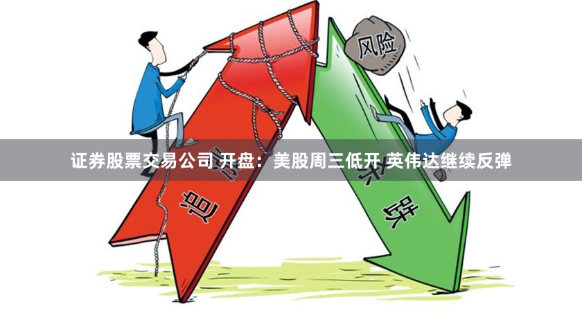 证券股票交易公司 开盘：美股周三低开 英伟达继续反弹